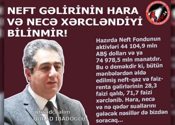 Qubad İbadoğlu: Neft gəlirinin hara xərcləndiyi bilinmir!
