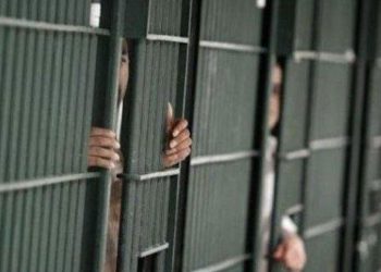 Səudiyyə rejimi tərəfindən ideoloji fəalların yoxa çıxmasının davamı