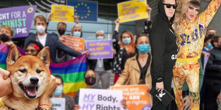 Qərb, ailə, cinsi azlıqlar… – Video