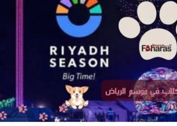 Qəzzə atəş və qan içində, Ərəbistan itlərin festivalının ev sahibi!