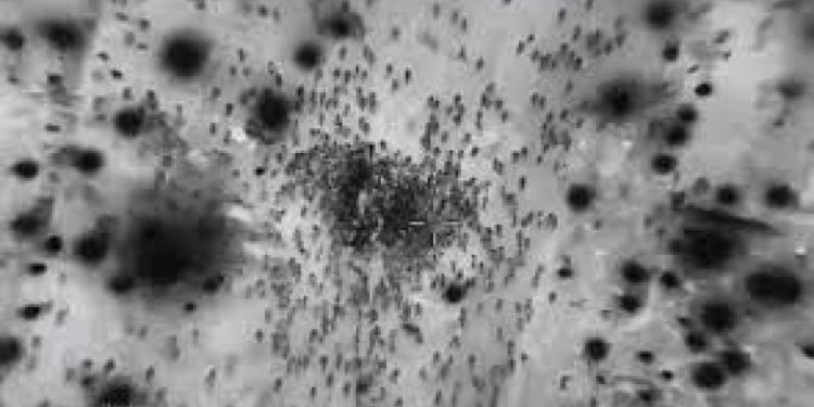 Sionist rejiminin Nablusi meydanındakı cinayəti ilə bağlı yalanının ifşası