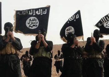 Türkiyə İŞİD-ə təlim keçməklə Suriya və İraqa qarşı plan hazırlayır