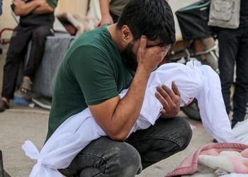 Sionist mediasının Qəzzə zolağında qadın və uşaqların qətlini etiraf etməsi