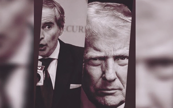 Tramp, Qrossi və Almaniya kanslerinin cəngəllik qanunlarına sadiqliyi